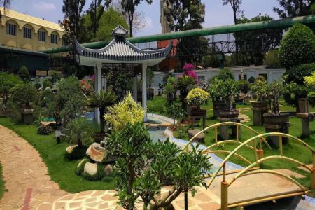 Kishkindha Moolika Bonsai Garden